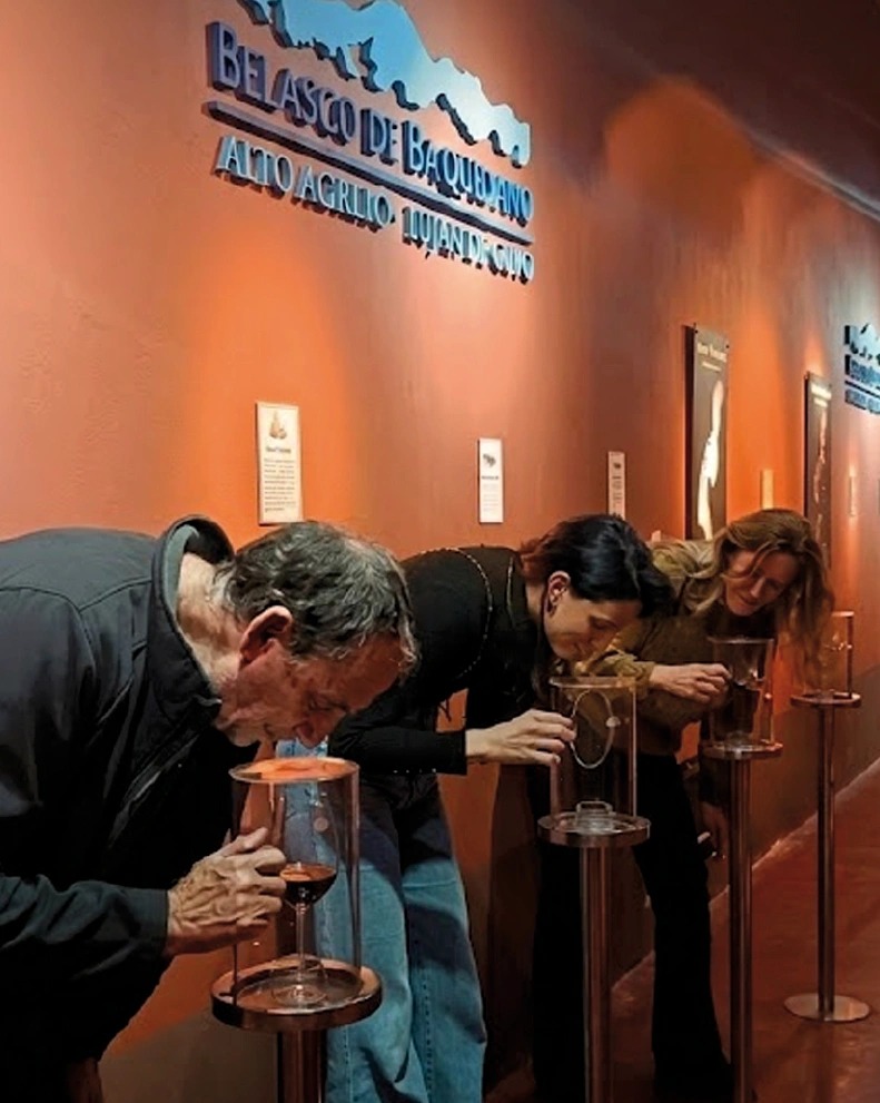 Lujanbelascodebaquedano lujan belasco de baquedano mendoza vendimia