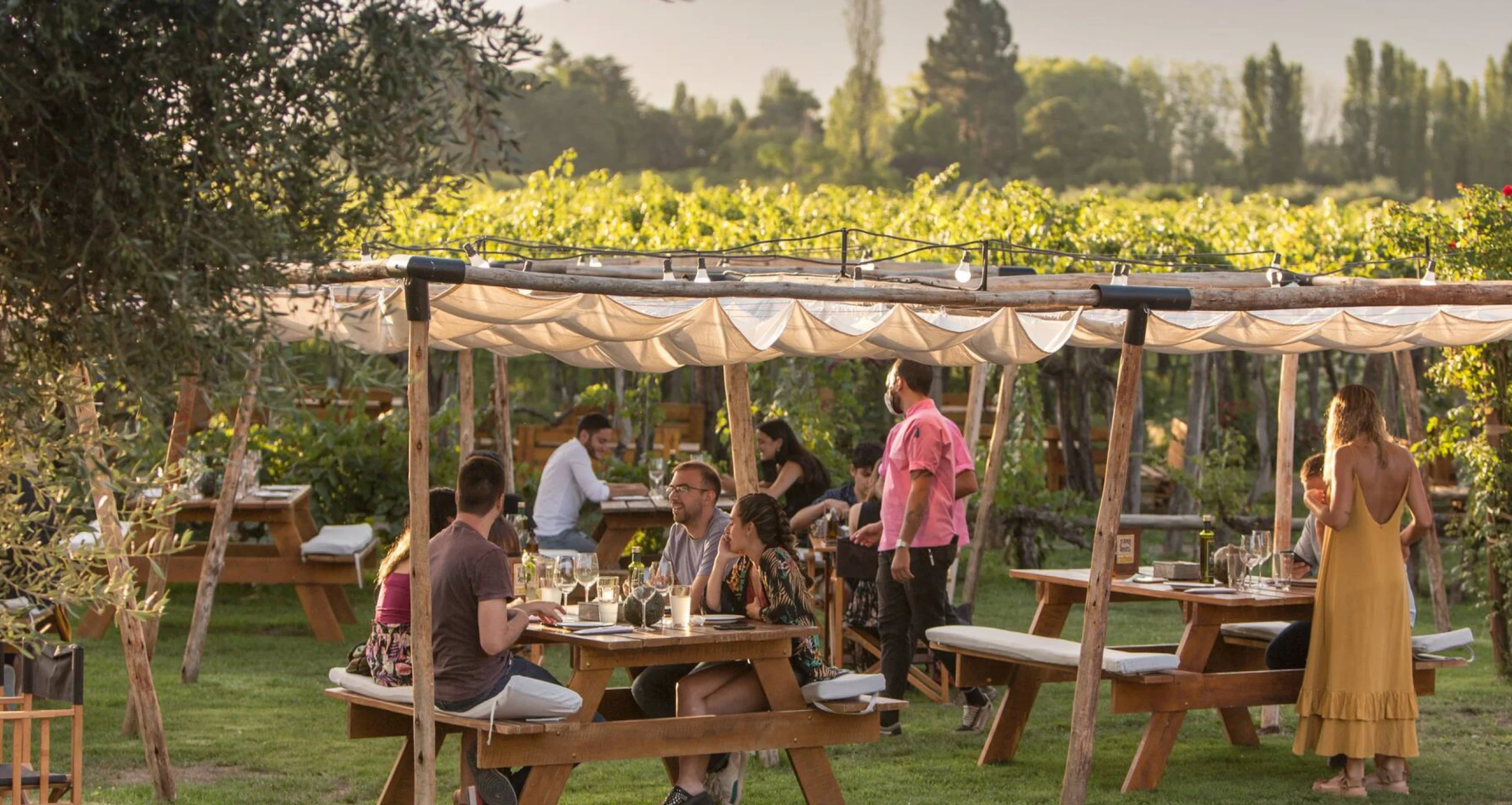 Vendimia contacto mendoza tours