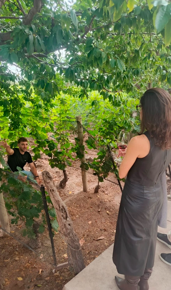 lujandeangelesvisitaviñedos Bodegas Lujan Mendoza Vendimia
