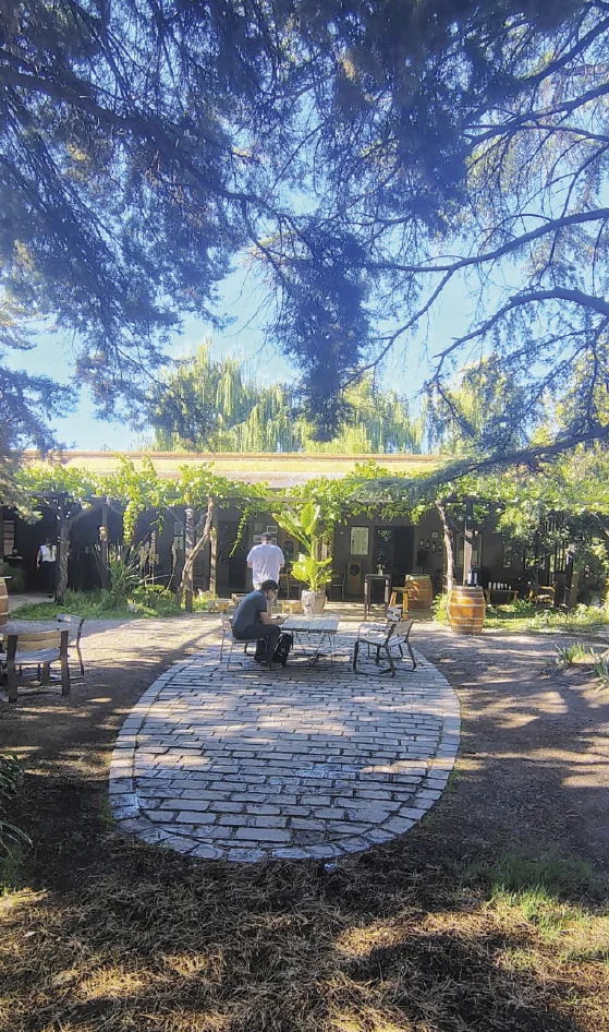 Experiencia Maipu Vendimia mendoza