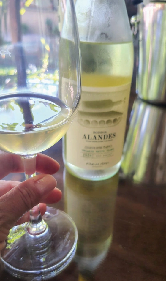 maipualandesvinoycopa Bodegas Maipu Mendoza vendimia