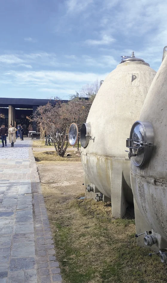 Experiencia Maipu Mendoza Vendimia