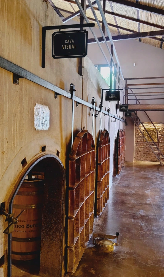maipucincosentidos Bodegas Maipu Mendoza vendimia