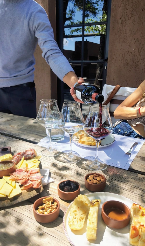 maipupascualtoso Bodegas Maipu Mendoza vendimia