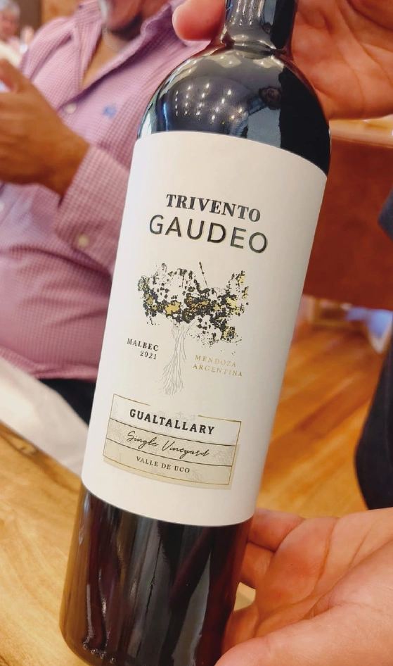 maiputriventogaudeo Bodegas Maipu Mendoza vendimia