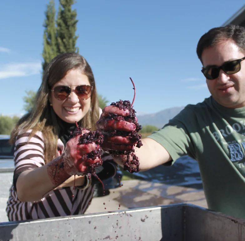 parejauvasachavalferrer Uvas en vendimia Mendoza