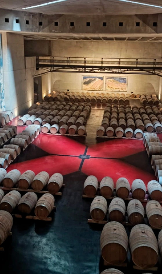 valledeucoalfacruxsaladebarricas Bodegas Valle de Uco Mendoza Vendimia