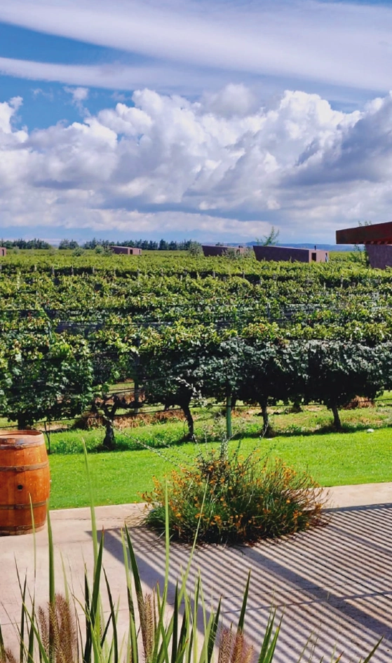 valledeucoandelunapaisaje Bodegas Lujan Mendoza Vendimia