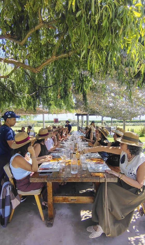 Experiencia Valle de Uco Mendoza vendmia