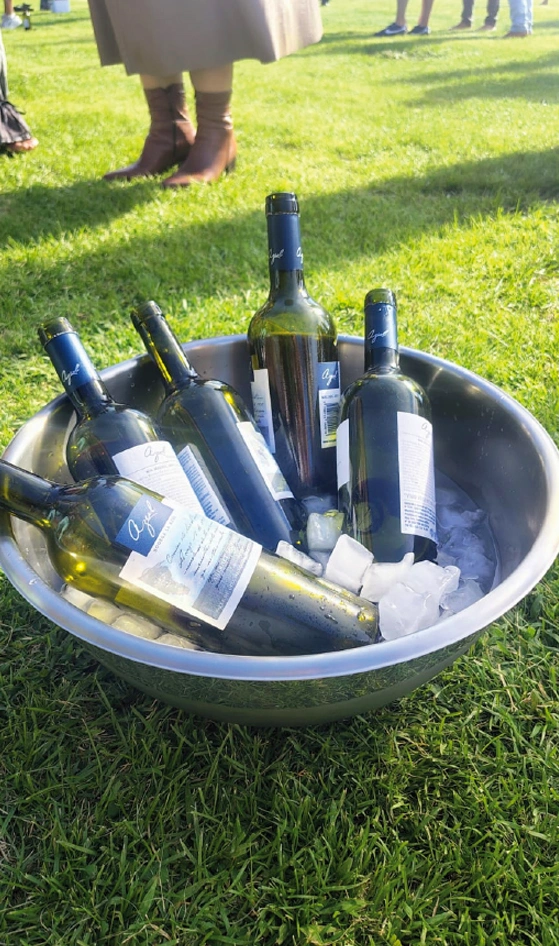 valledeucolaazulvinos Bodegas Valle de Uco Mendoza Vendimia