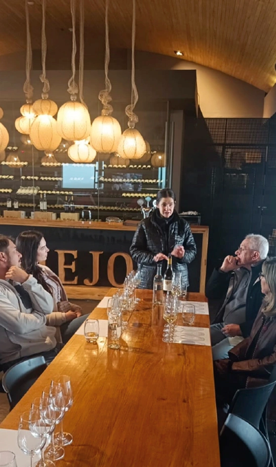 valledeucomonteviejodegustacion Bodegas Valle de Uco Mendoza Vendimia