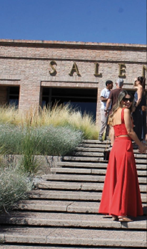 valledeucosalenteinparejaizquierda Bodegas Valle de Uco Mendoza Vendimia