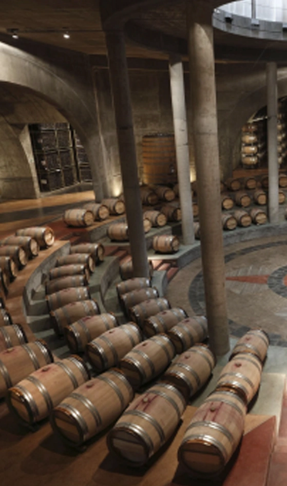 valledeucosalenteinsaladebarricas Bodegas Valle de Uco Mendoza Vendimia
