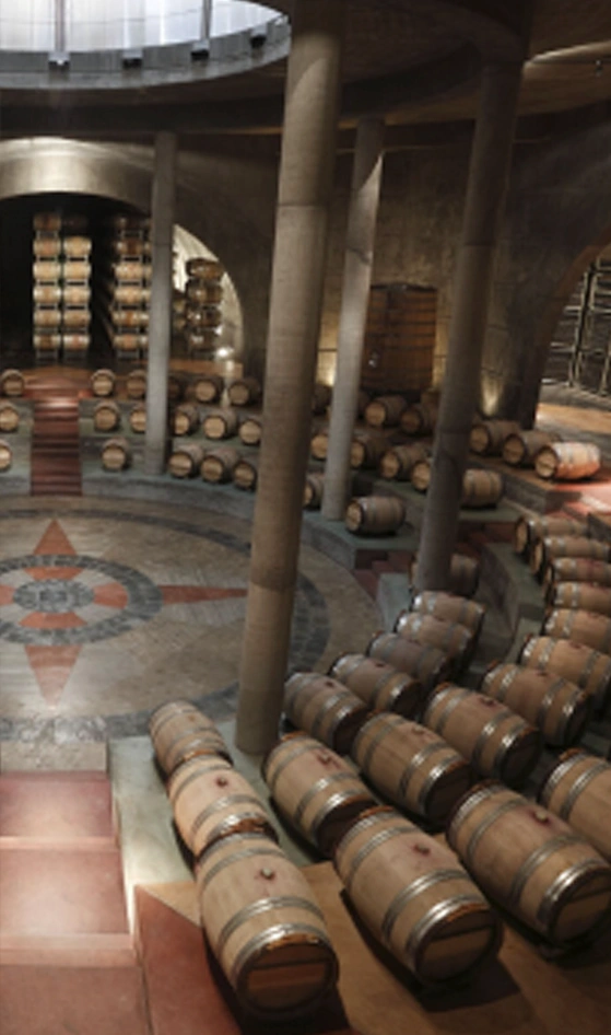 valledeucosalenteinsalladebarricasderecha Bodegas Valle de Uco Mendoza Vendimia