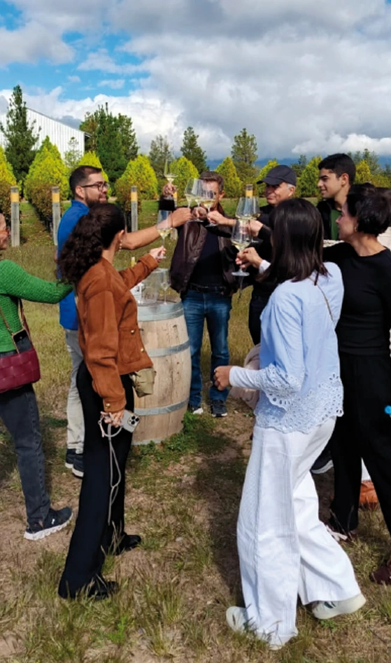 valledeucoviñavidabrindis Bodegas Valle de Uco Mendoza Vendimia