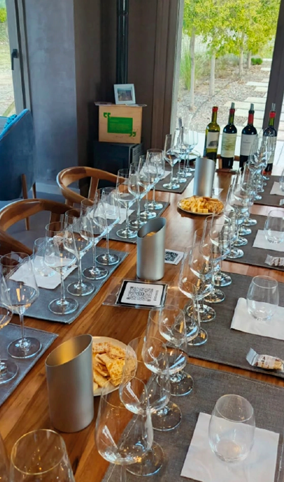 valledeucoviñavidamesadegustacion Bodegas Valle de Uco Mendoza Vendimia